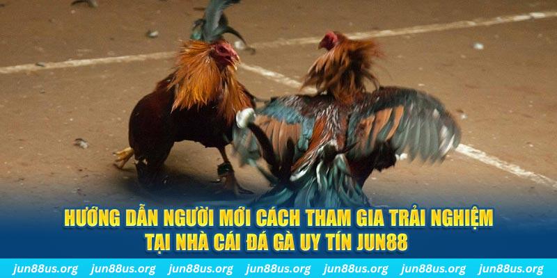 qh235 loi game dot kich ket noi may chu that bai