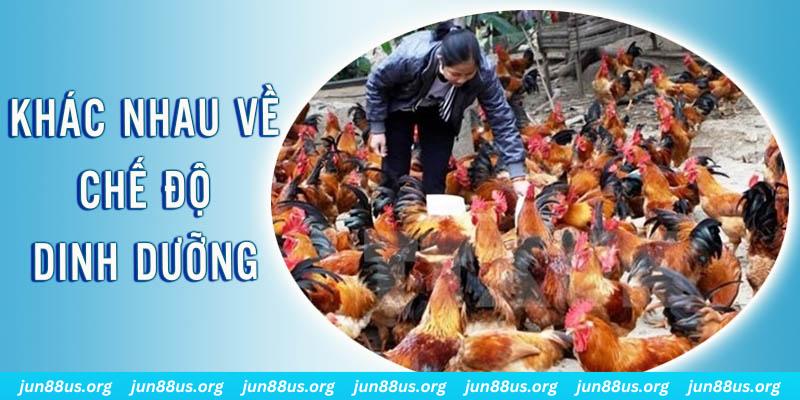 qh235 xổ số miền nam thứ năm hàng tuần