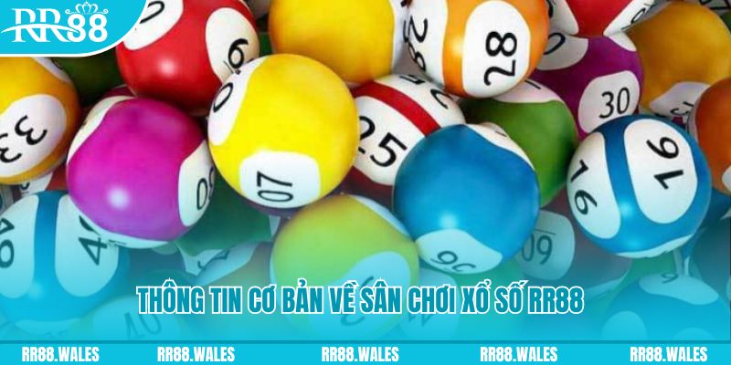 qh235 đá gà hôm nay