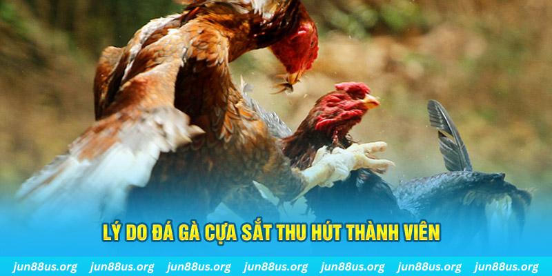 qh235 chiếm slot là gì