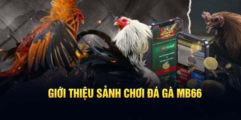 qh235 đăng nhập poker hôm nay