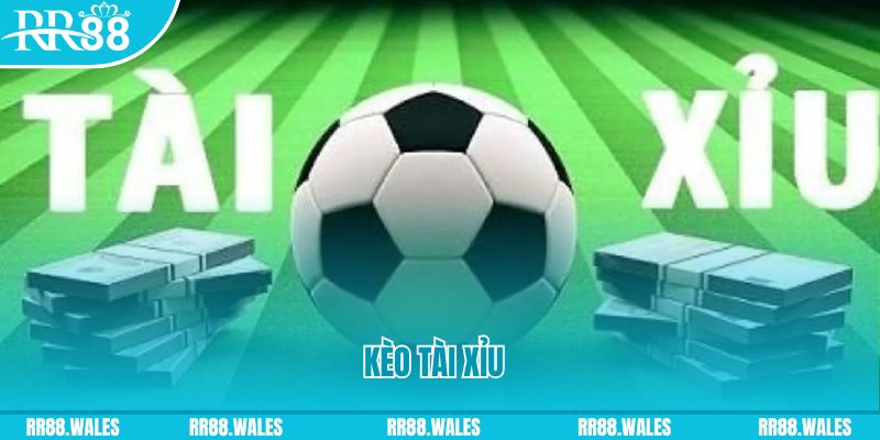 qh235 gà chọi hoà phong